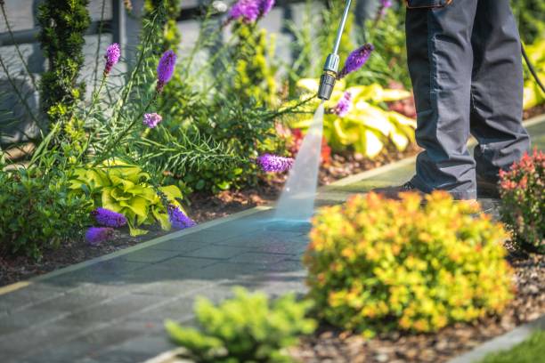 Best Sidewalk and Walkway Cleaning  in Affton, MO