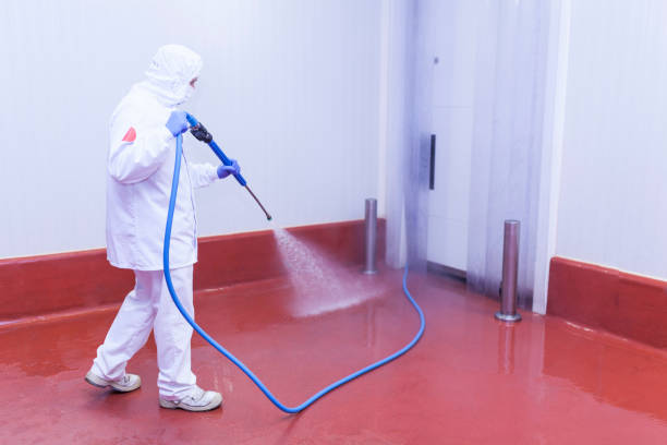 Best Roof Washing  in Affton, MO