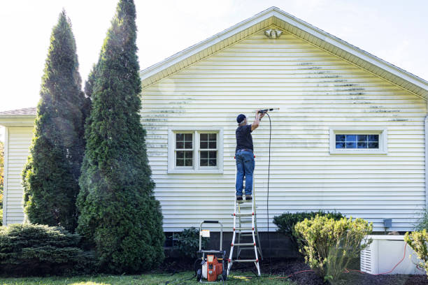Best Patio and Deck Pressure Washing  in Affton, MO